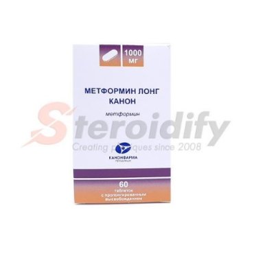 Metformin LONG Kanonpharma
